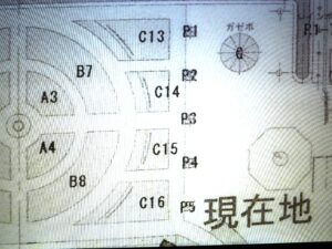 あしかがフラワーパーク：ローズガーデン拡大図の写真です。