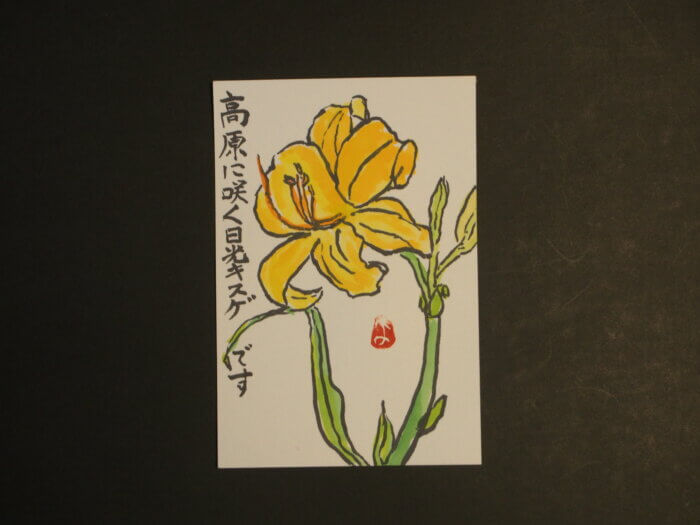 ニッコウキスゲの花の絵手紙です。