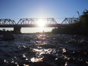トンボと渡良瀬橋の夕日の写真です。