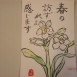 絵手紙「日本水仙」の写真です。