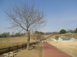 公園内の散歩コースの写真