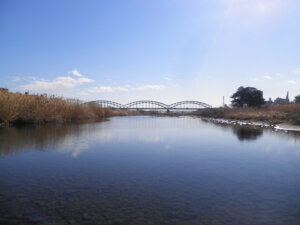 お隣の中橋の写真です。