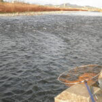 渡良瀬川の岸辺に玉網が置いてある写真です。