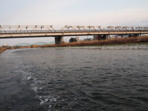 渡良瀬川左岸「わたらせばし4」の写真です。