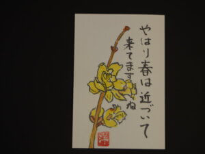 絵手紙「ロウバイの花」の写真です。