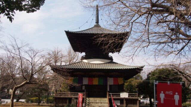 鑁阿寺「多宝塔」（県指定文化財）の写真です。