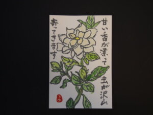 クチナシの花の絵手紙です。