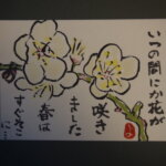 梅の花の絵手紙です。