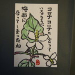 ドクダミの花の絵手紙です。