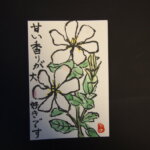 クチナシの花の絵手紙です。