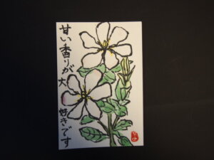 クチナシの花の絵手紙です。