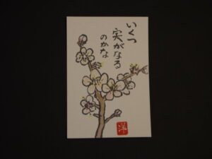 梅の花の絵手紙です。