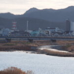 朝の「渡良瀬橋」の写真です。西隣の「緑橋」から撮影しました。