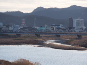 朝の「渡良瀬橋」の写真です。西隣の「緑橋」から撮影しました。