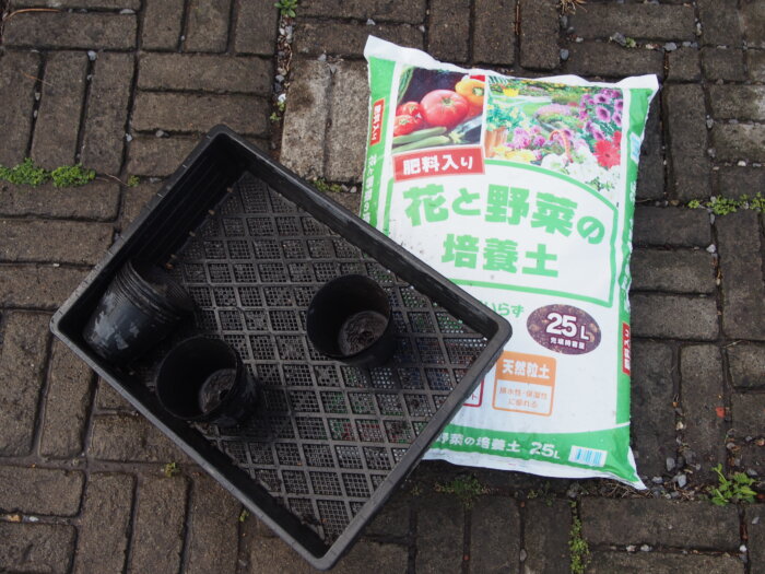 種まきn用意するものの写真です。