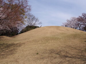 気丸くて持ちいい岡の写真です。