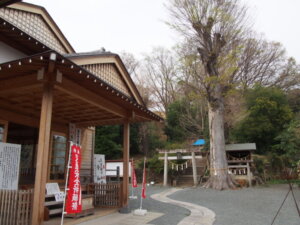 「八雲神社と御神木」の写真です。