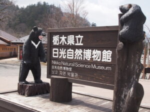 「日光自然博物館」の看板の写真です。