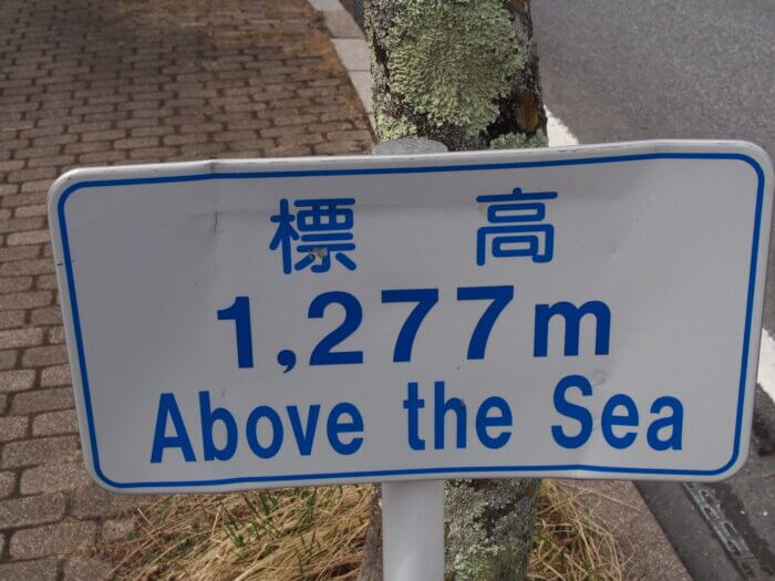 歩道脇の標高を示す看板の写真です。