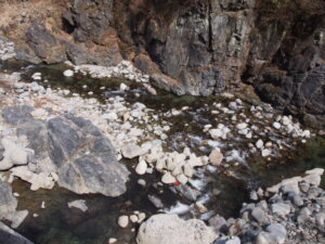 「渡良瀬川」源流周辺の写真です。