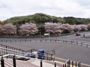 駅から見た光景です。