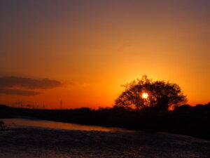 渡良瀬橋から見る夕日の写真です。