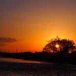 渡良瀬橋から見た夕日の写真です。