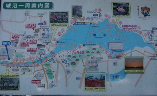 城沼散歩コース案内版の写真です。