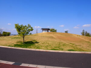 公園内の風景写真です。