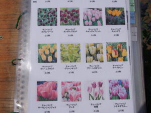 園内の花図鑑の写真です。