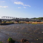 水かさが増してきた渡良瀬に架かる渡良瀬橋の写真です。