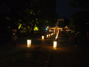 「桜門」から本堂までのライトアップ写真です。