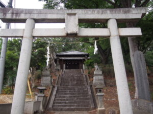 鳥居から臨む参道の写真です。