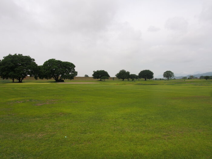 福猿橋と川崎橋の間にある緑地公園の写真です。
