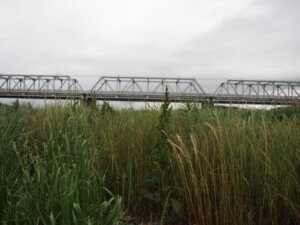 ちょっとYouTubeの映像を意識した「渡良瀬橋」の下流からの写真です。