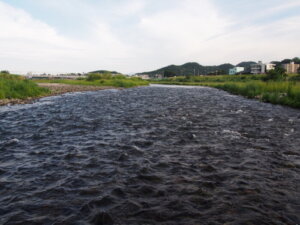渡良瀬川と渡良瀬橋の写真です。早瀬が美しいです。