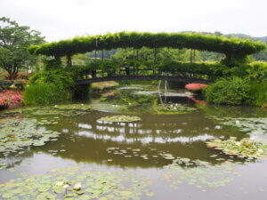 池に端が映っている写真です。