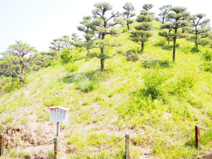 頂上の古墳の写真です。