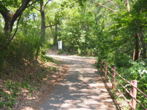 登山道入り口の写真です。