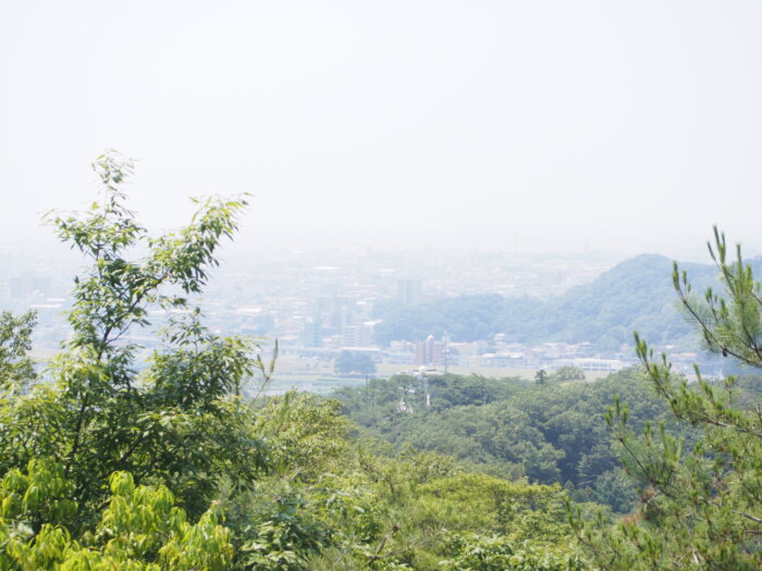 足利市の街並を臨む写真です。