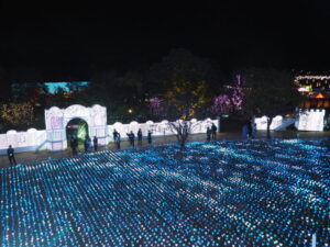 あしかがフラワーパーク：イルミネーションの写真です。