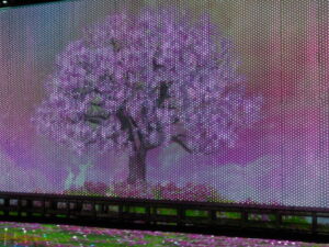あしかがフラワーパーク：イルミネーションの写真です。