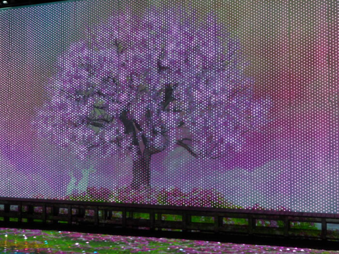 あしかがフラワーパーク：イルミネーションの写真です。