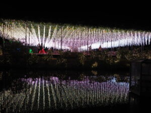 あしかがフラワーパーク：イルミネーションの写真です。