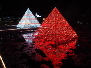あしかがフラワーパーク：イルミネーションの写真です。