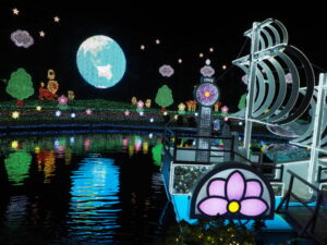 あしかがフラワーパーク：イルミネーションの写真です。