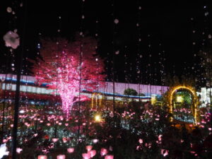 あしかがフラワーパーク：イルミネーションの写真です。