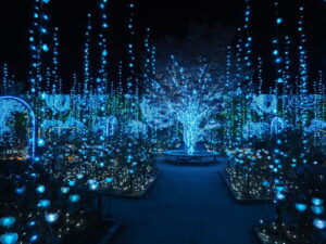 あしかがフラワーパーク：イルミネーションの写真です。