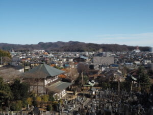 山から望む法楽寺と市内の風景写真です。