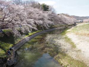 袋川に架かる「千歳橋」から臨む写真です。